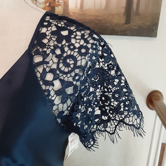 Monique Lhuillier Navy Lace Sleeve Gown - Picture 4 of 10